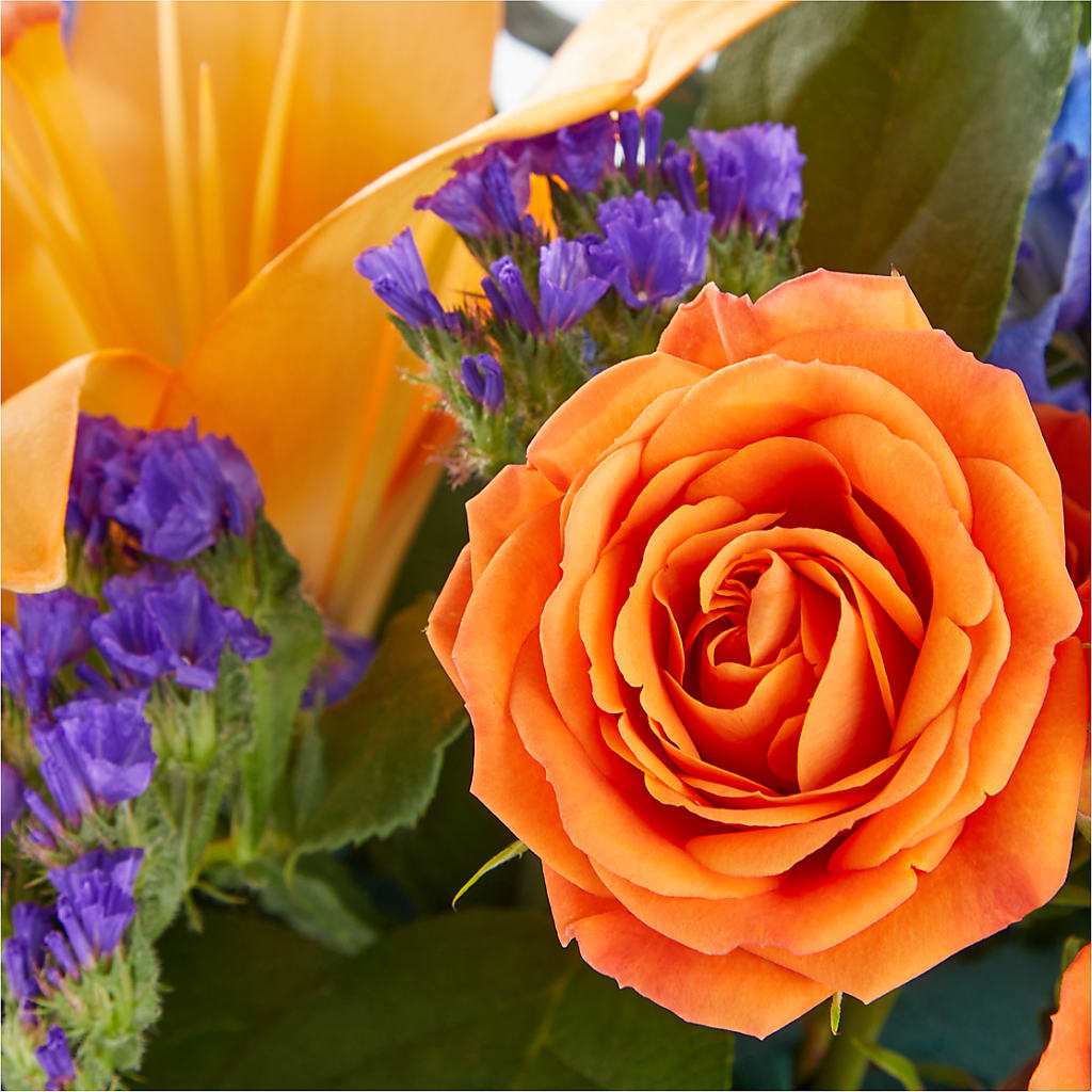 Radiant Citrus Box Bouquet – KIMBERLY'S FLORAL, Dallas PA