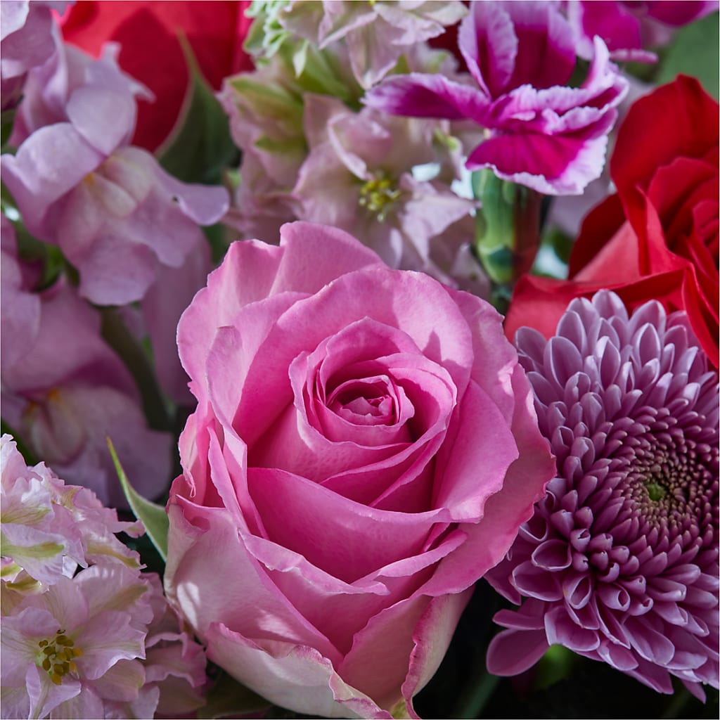 Better Together - A Luxury Florist Original – KIMBERLY'S FLORAL, Dallas PA