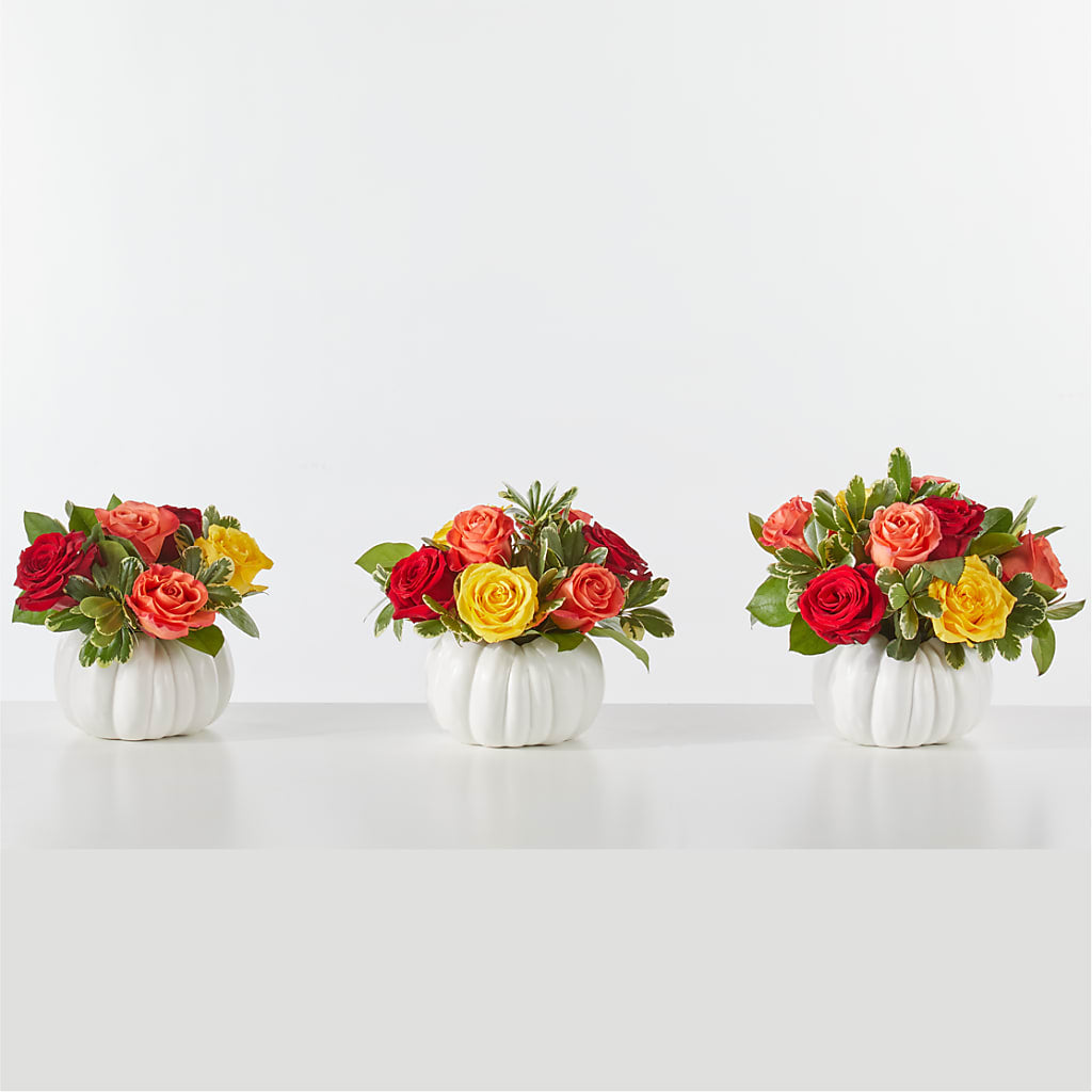 Gourd of Gratitude – KIMBERLY'S FLORAL, Dallas PA
