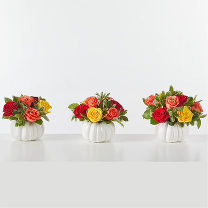 Gourd of Gratitude – KIMBERLY'S FLORAL, Dallas PA
