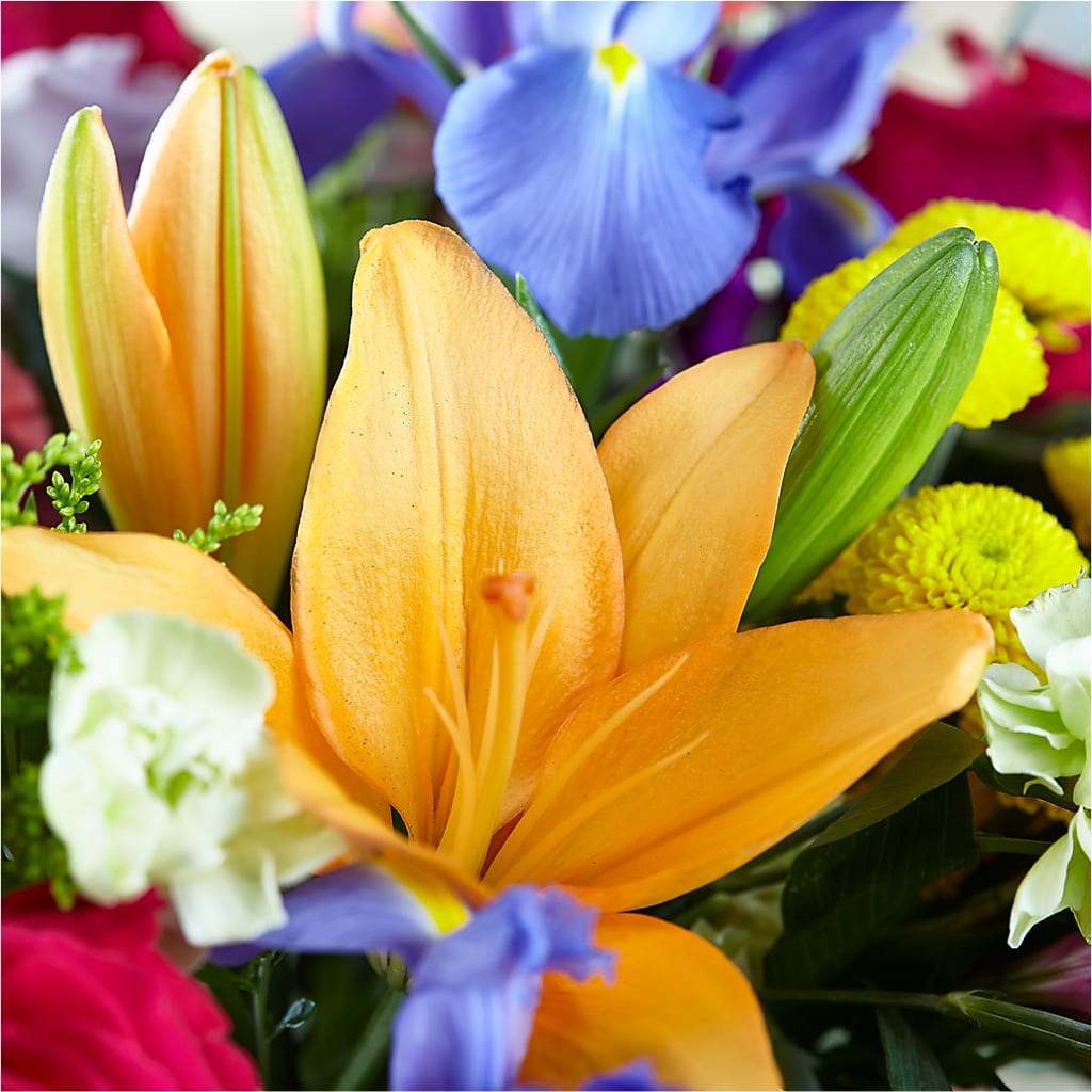 Bold & Bright – A Florist Original – KIMBERLY'S FLORAL, Dallas PA
