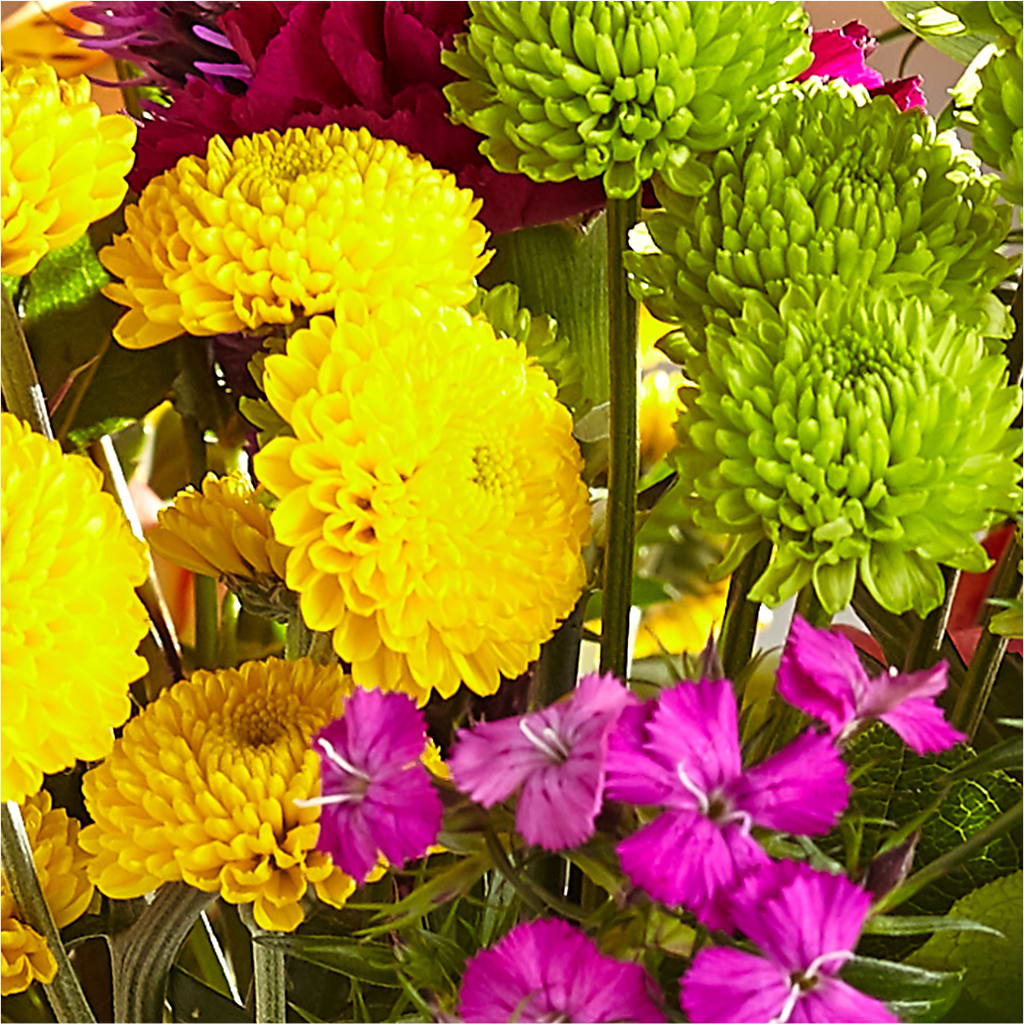 Bold & Bright – A Florist Original – KIMBERLY'S FLORAL, Dallas PA