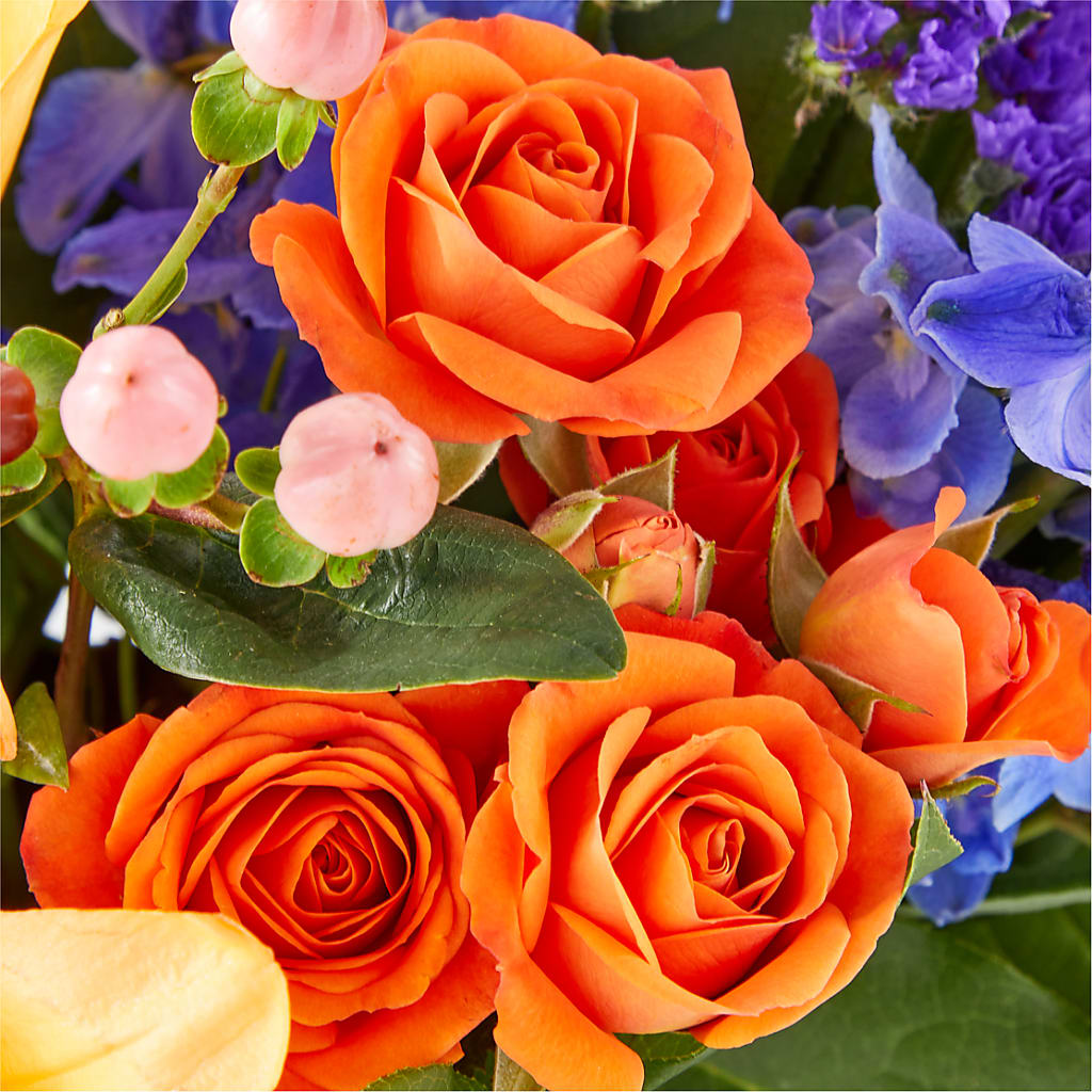 Radiant Citrus Box Bouquet – KIMBERLY'S FLORAL, Dallas PA