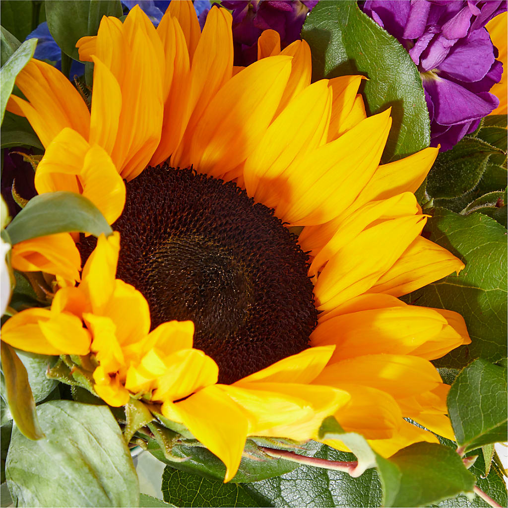 Catching Rays Bouquet – KIMBERLY'S FLORAL, Dallas PA