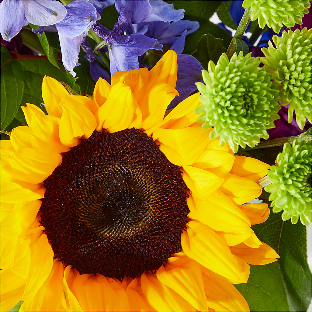 Catching Rays Bouquet – KIMBERLY'S FLORAL, Dallas PA
