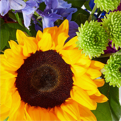 Catching Rays Bouquet – KIMBERLY'S FLORAL, Dallas PA