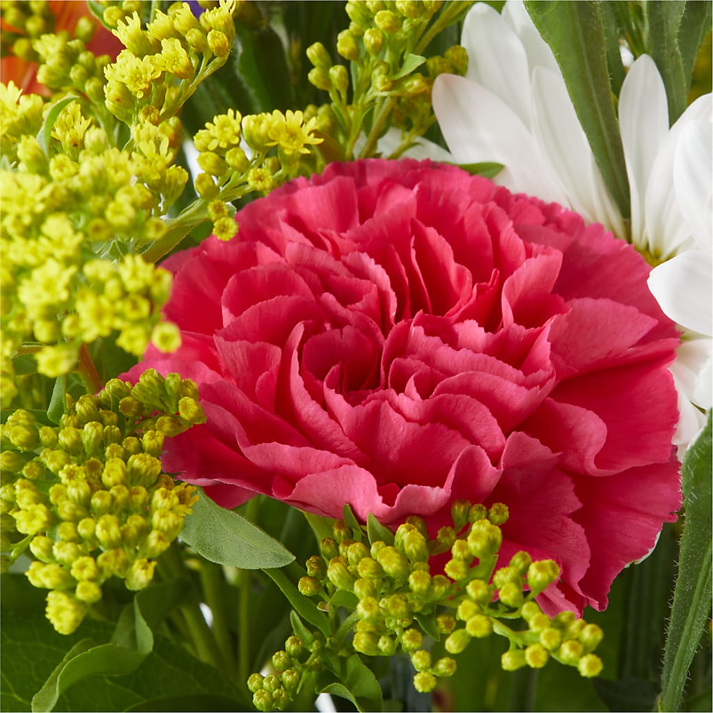 Oopsie Daisy Bouquet – KIMBERLY'S FLORAL, Dallas PA