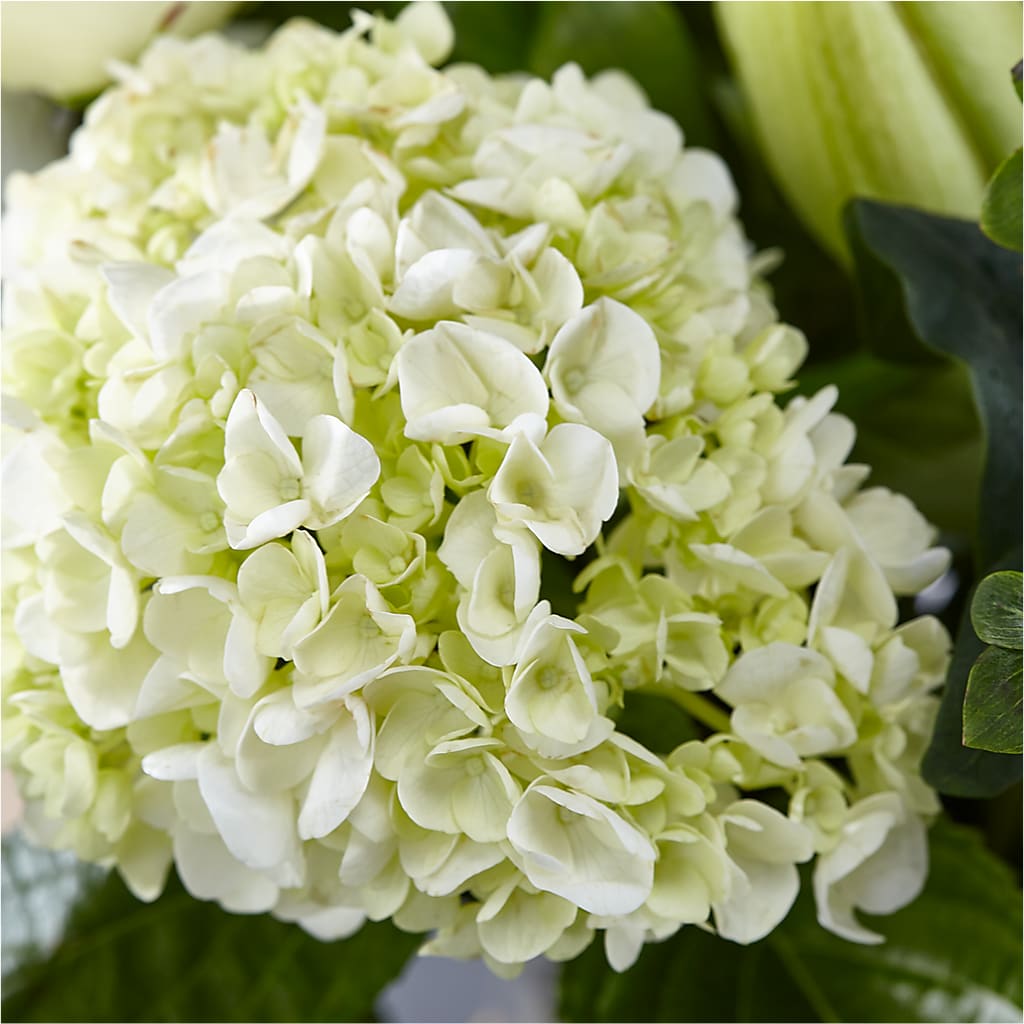 Classic Ivory – A Florist Original – KIMBERLY'S FLORAL, Dallas PA