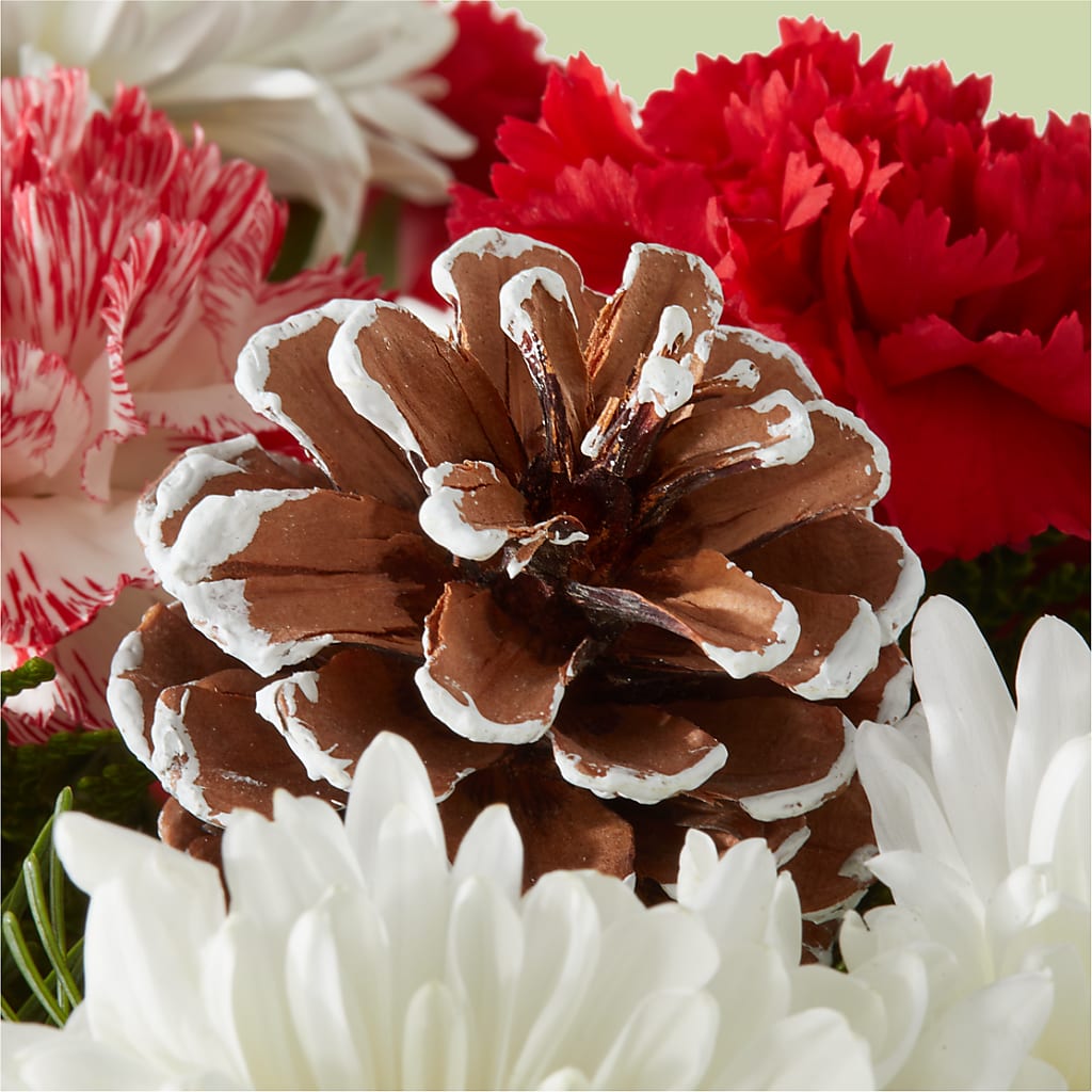 Candy Cane Lane Bouquet – KIMBERLY'S FLORAL, Dallas PA